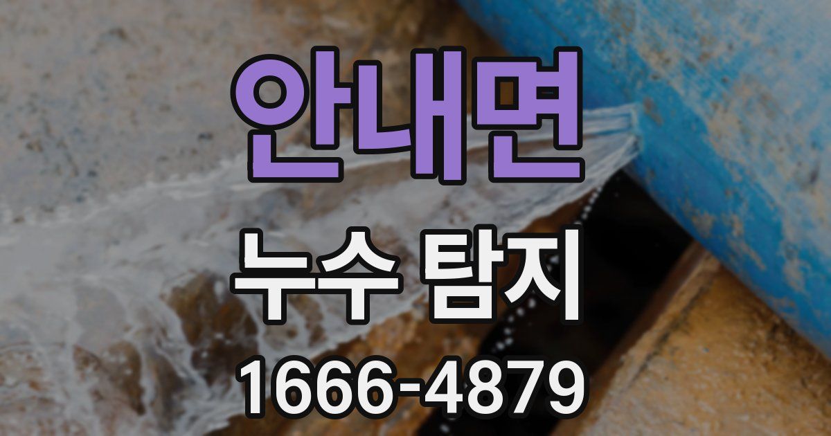 안내면 누수 탐지