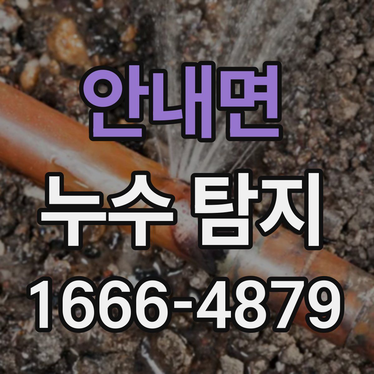 안내면 누수 탐지