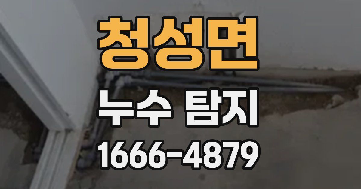 청성면 누수 탐지