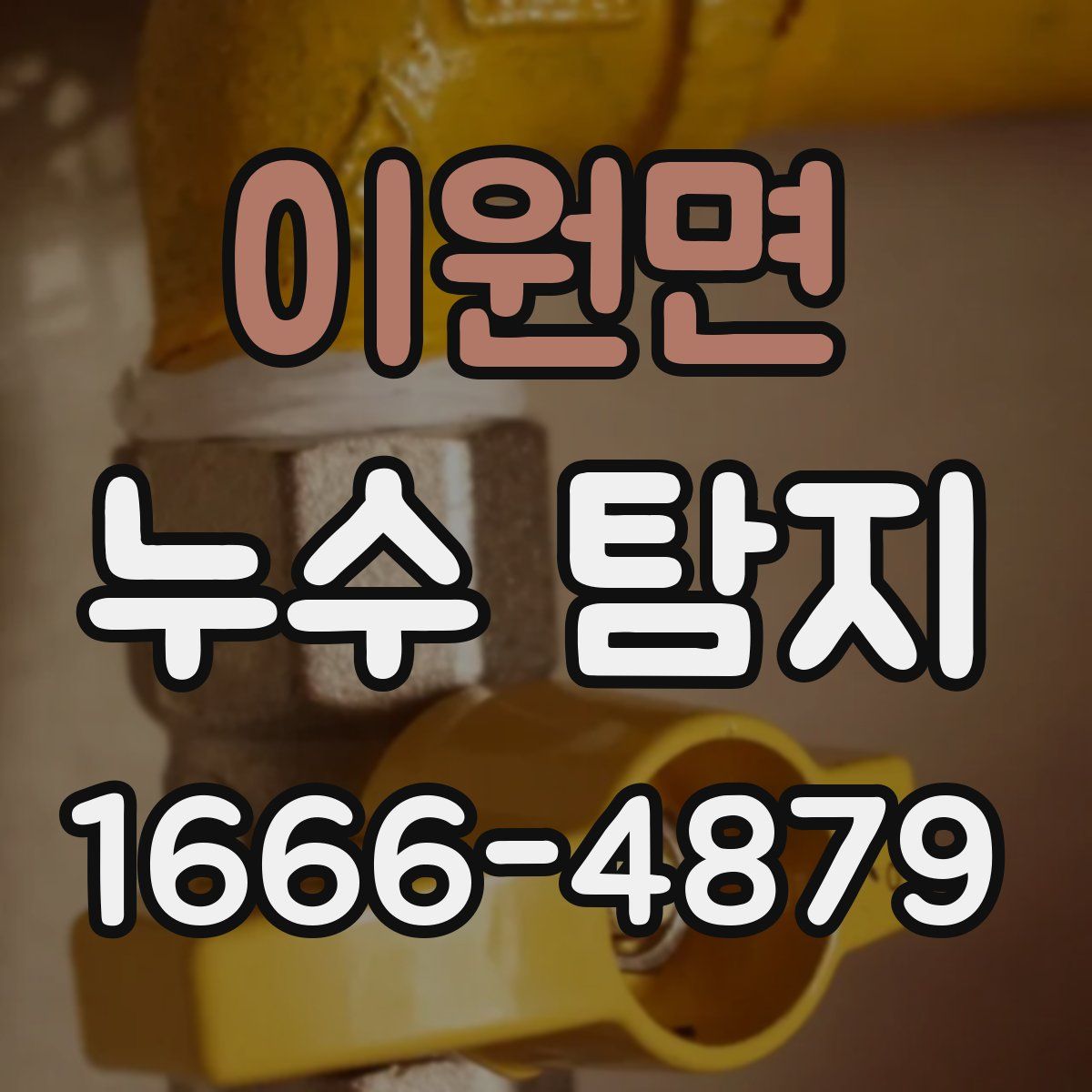 이원면 누수 탐지