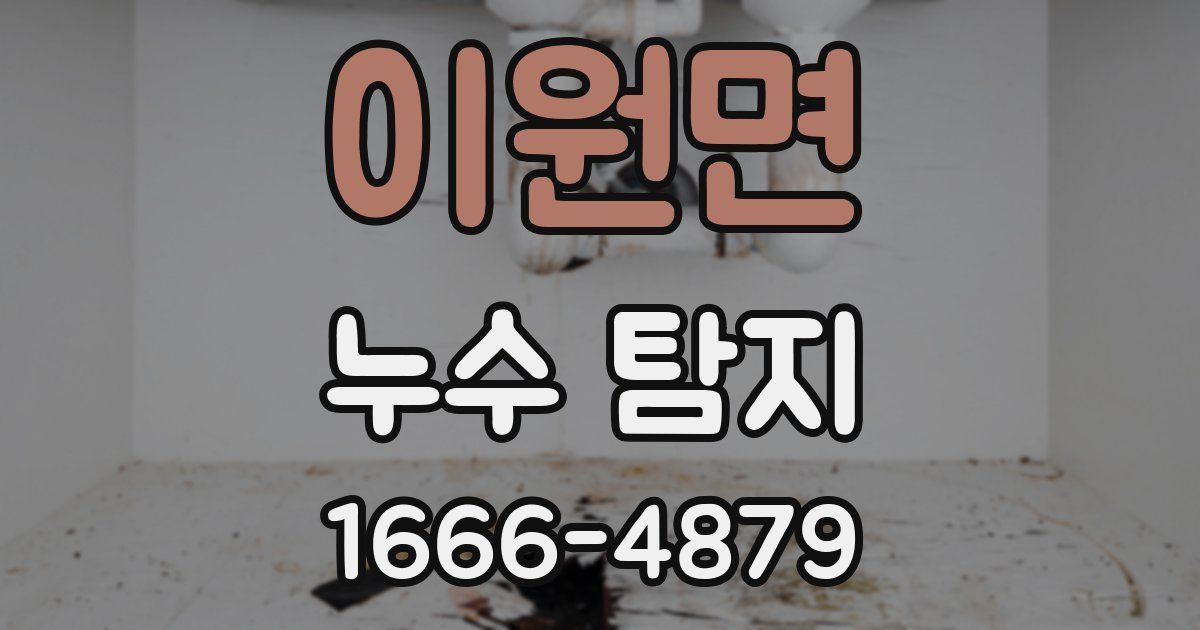 이원면 누수 탐지