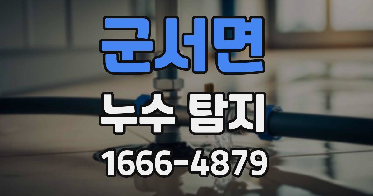 군서면 누수 탐지