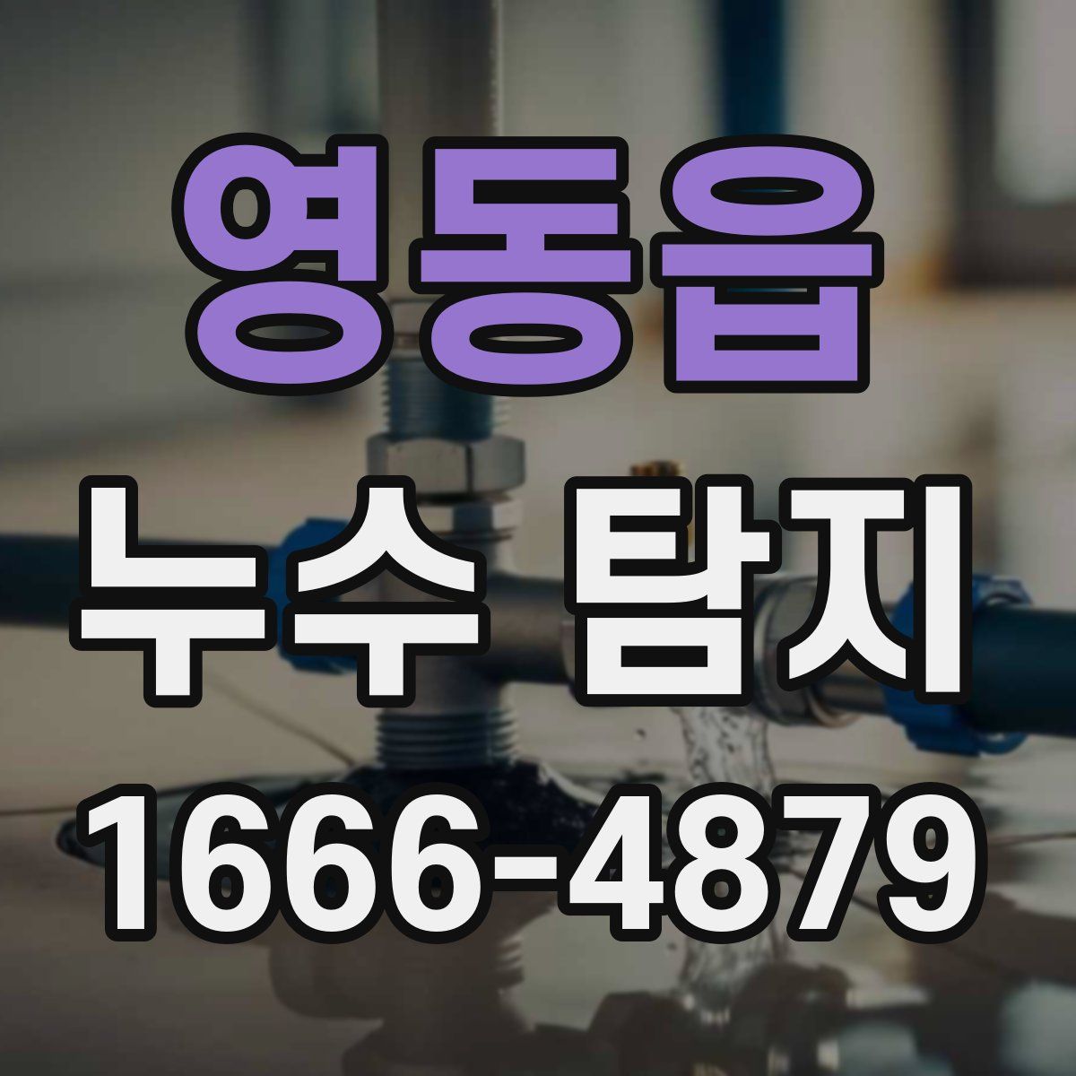 영동읍 누수 탐지