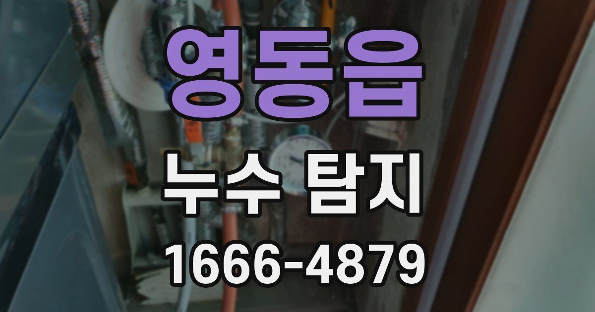 영동읍 누수 탐지