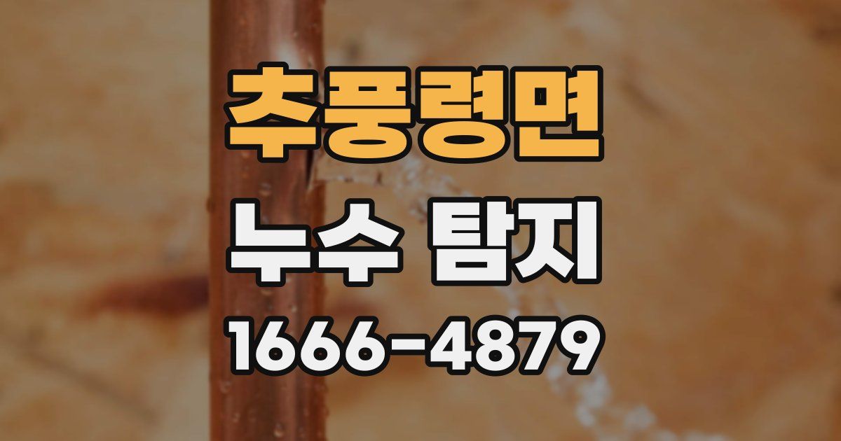 추풍령면 누수 탐지