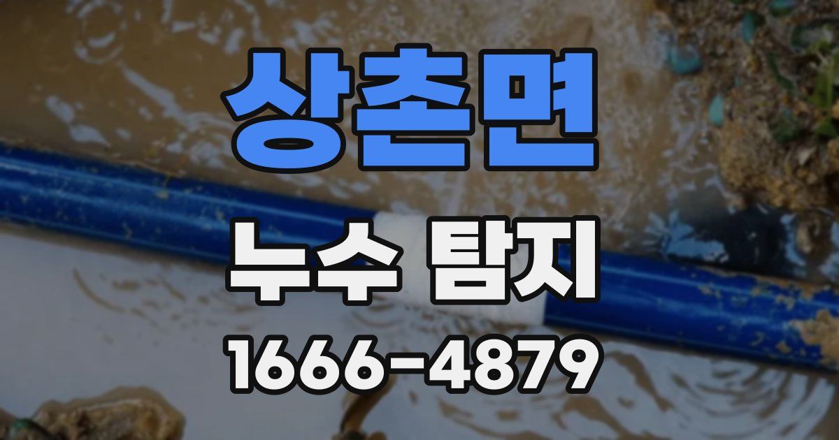 상촌면 누수 탐지