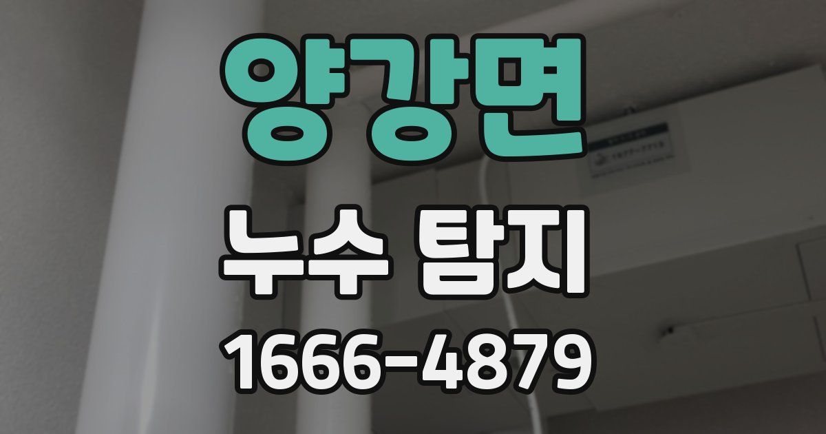 양강면 누수 탐지