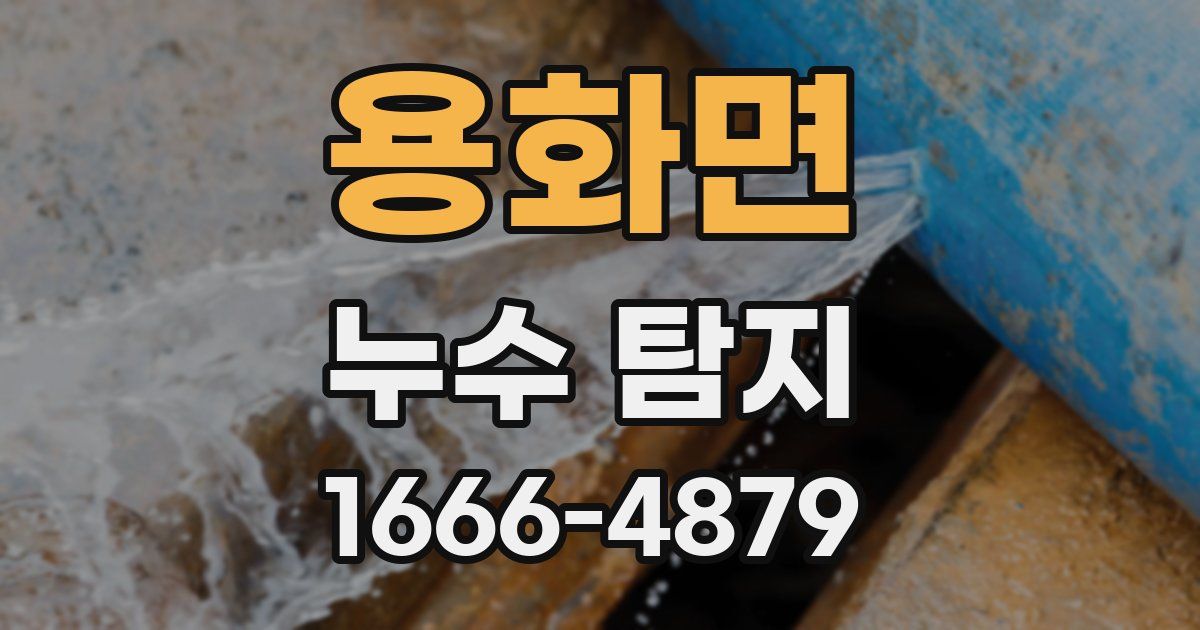용화면 누수 탐지