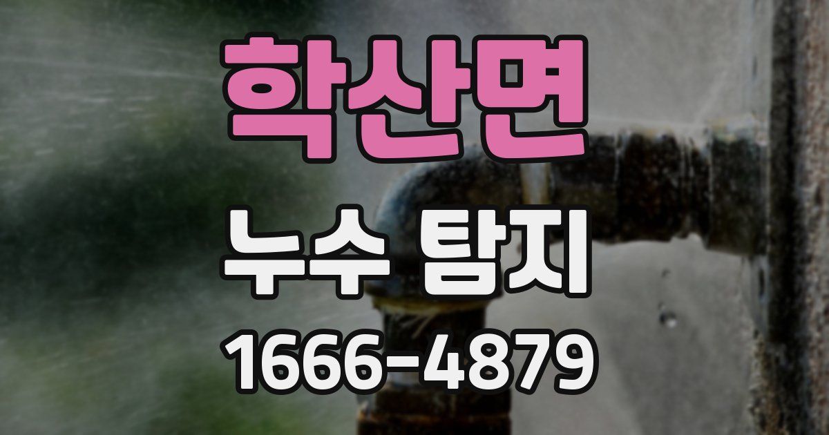 학산면 누수 탐지
