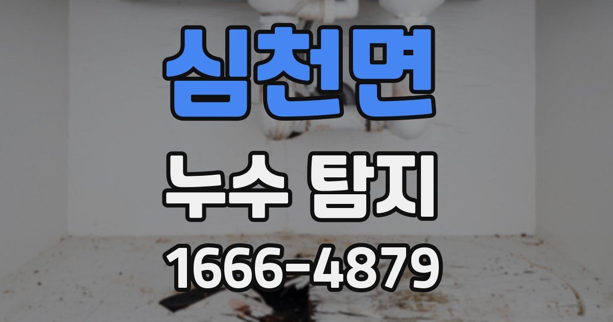 심천면 누수 탐지