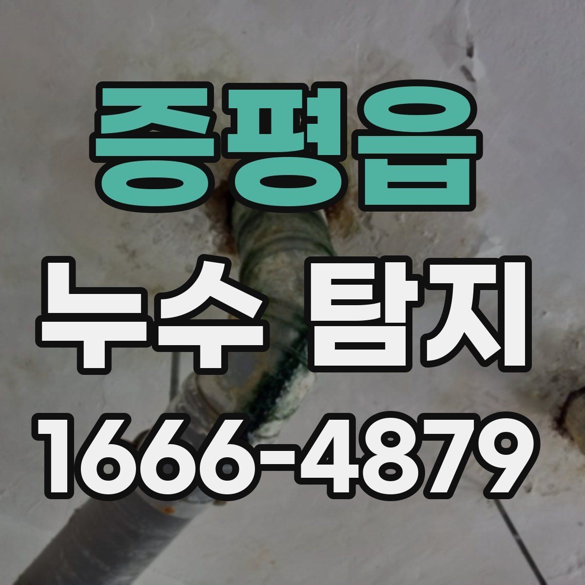 증평읍 누수 탐지 문의가 많아지는 계절별 특징