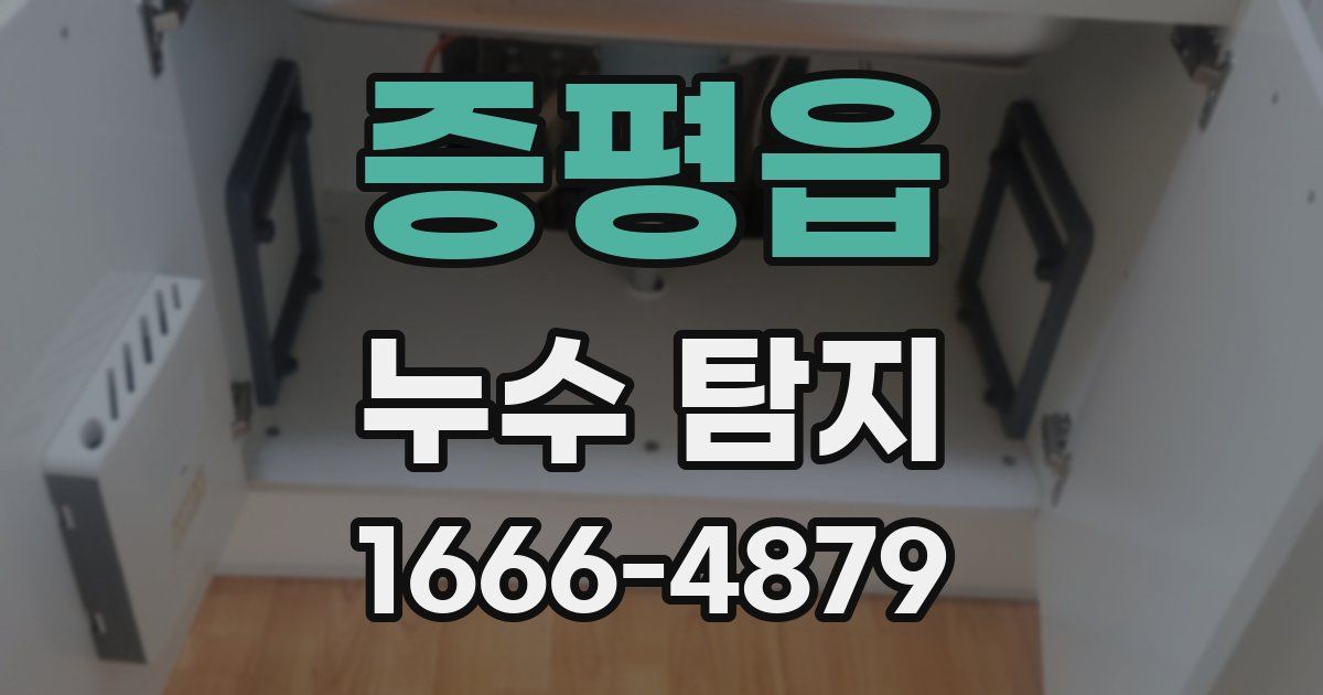 증평읍 누수 탐지