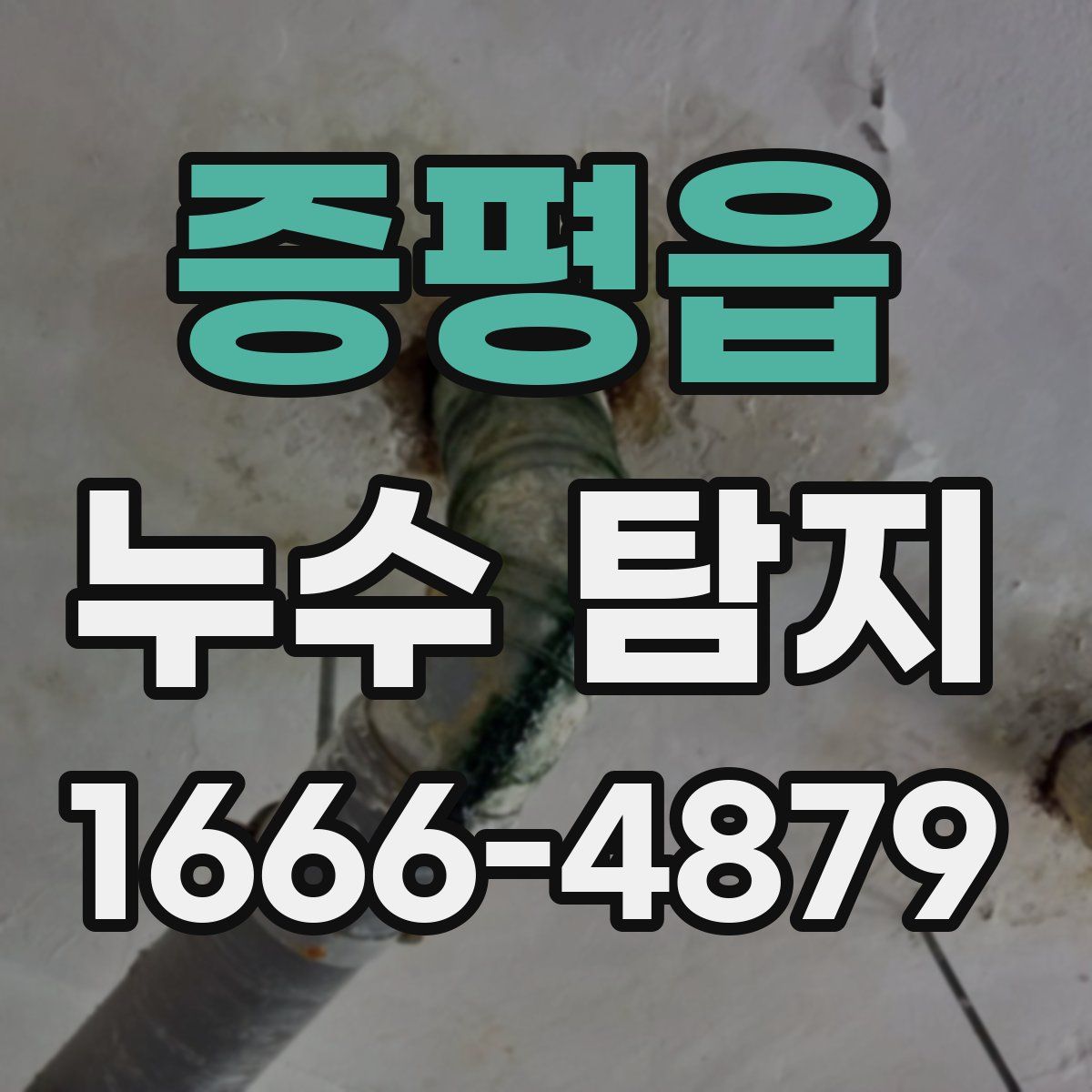 증평읍 누수 탐지