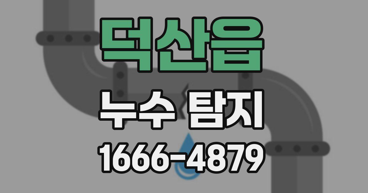 덕산읍 누수 탐지