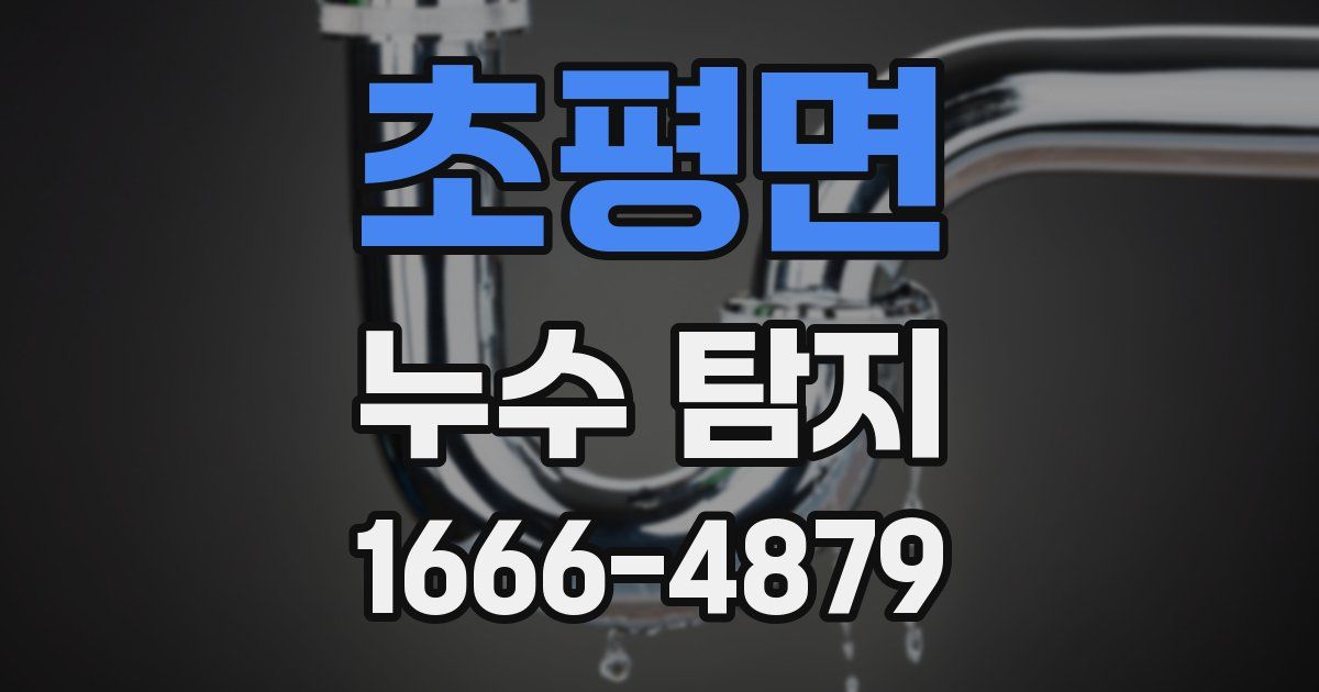 초평면 누수 탐지