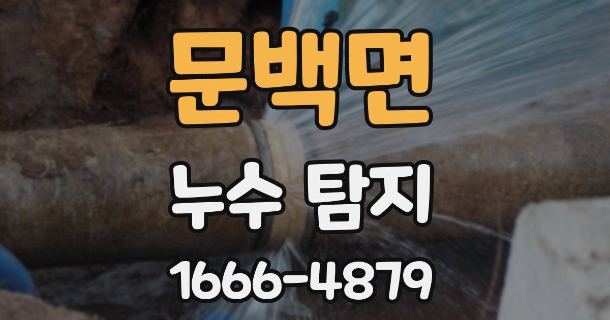 문백면 누수 탐지