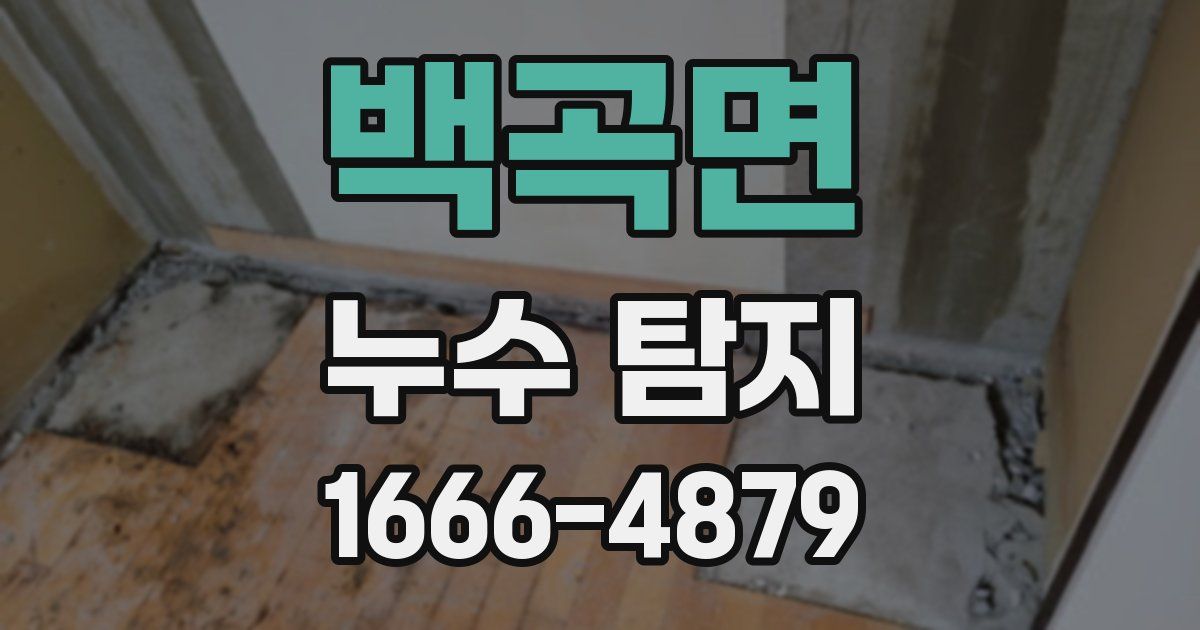 백곡면 누수 탐지