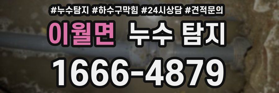 이월면 누수 탐지