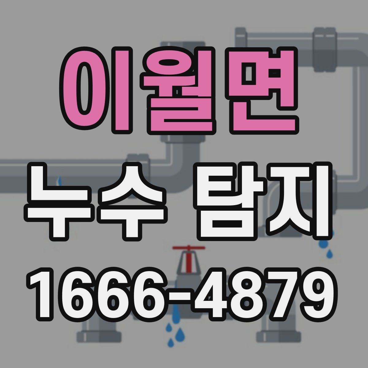 이월면 누수 탐지