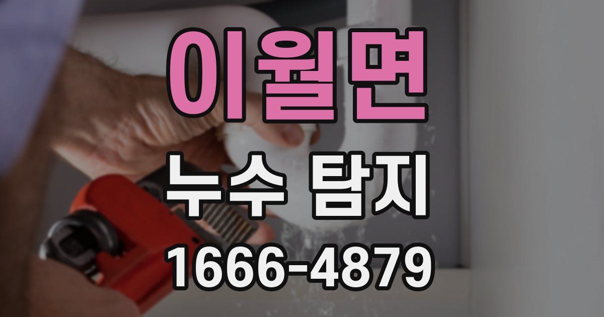 이월면 누수 탐지