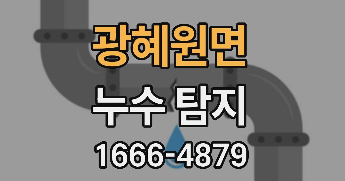 광혜원면 누수 탐지