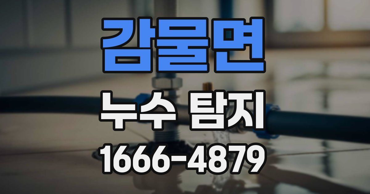 감물면 누수 탐지