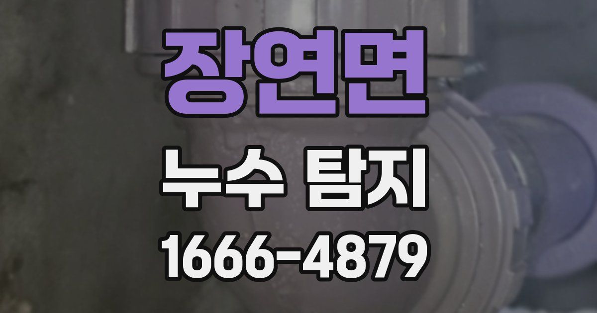 장연면 누수 탐지