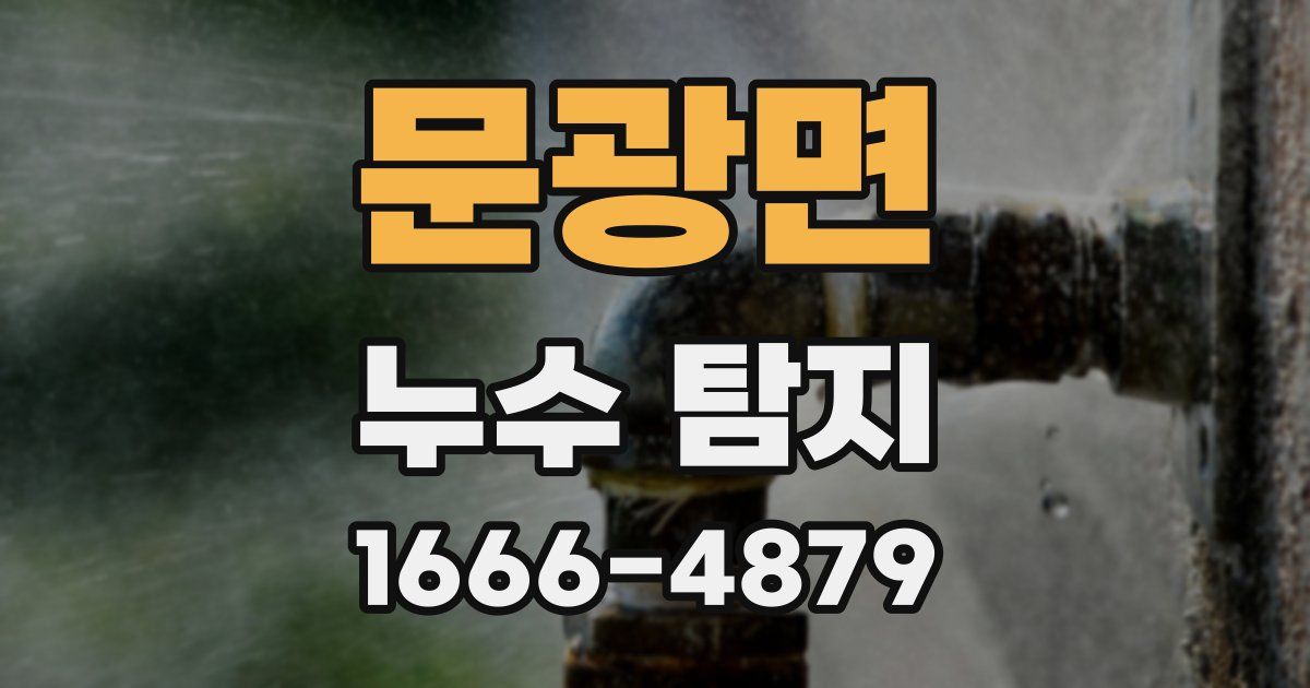 문광면 누수 탐지