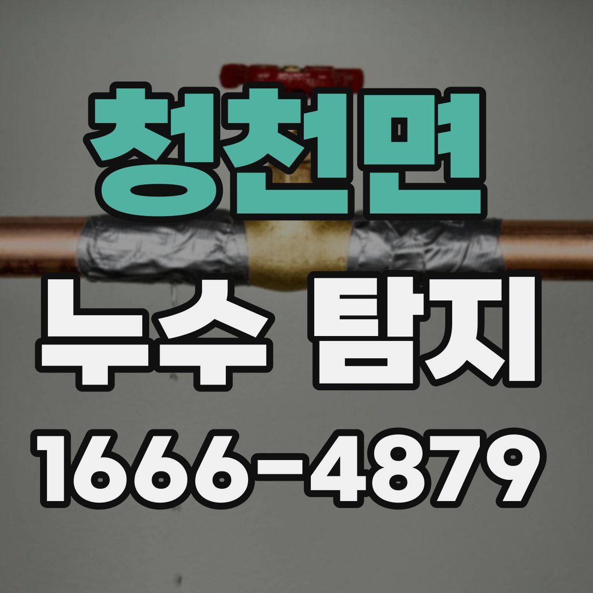 청천면 누수 탐지