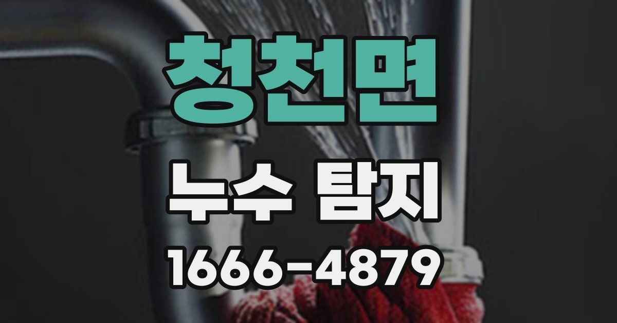 청천면 누수 탐지