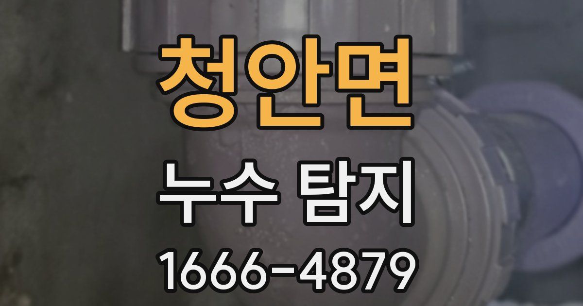청안면 누수 탐지