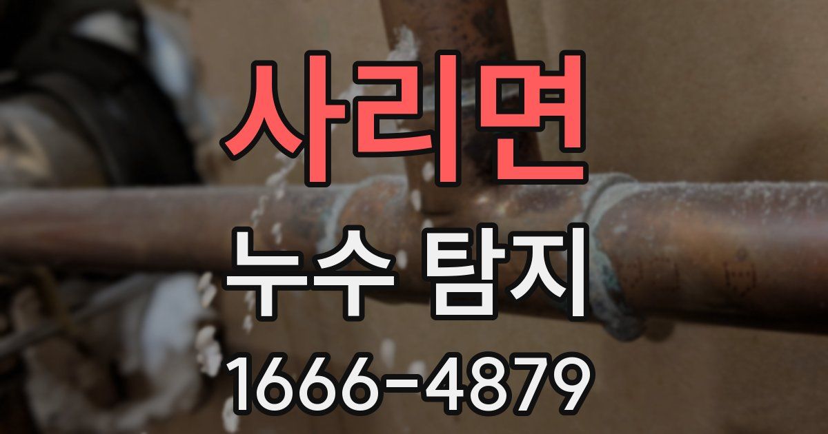 사리면 누수 탐지