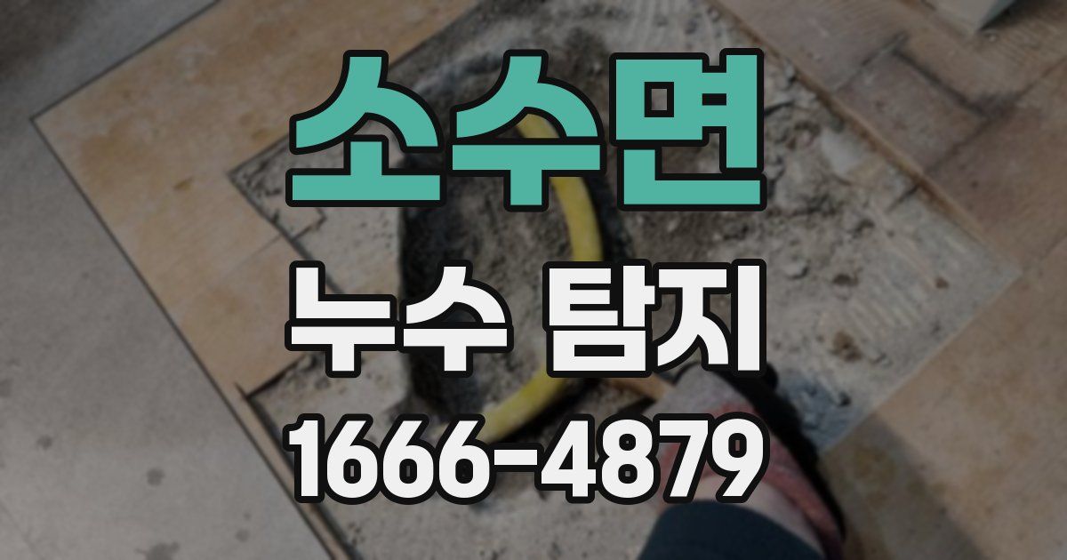 소수면 누수 탐지