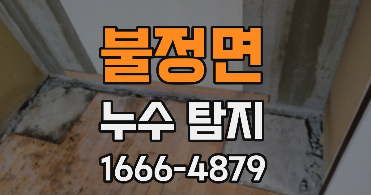 불정면 누수 탐지
