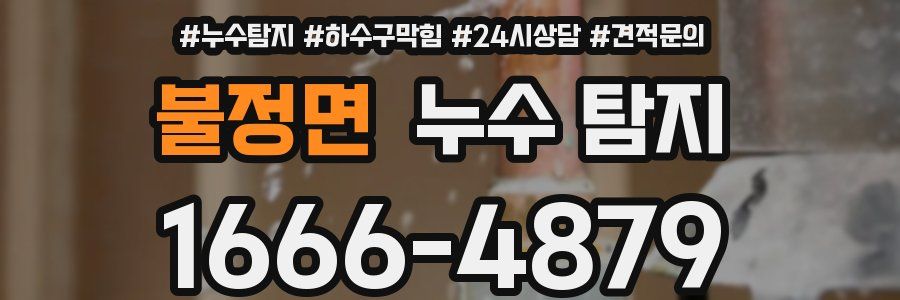 불정면 누수 탐지