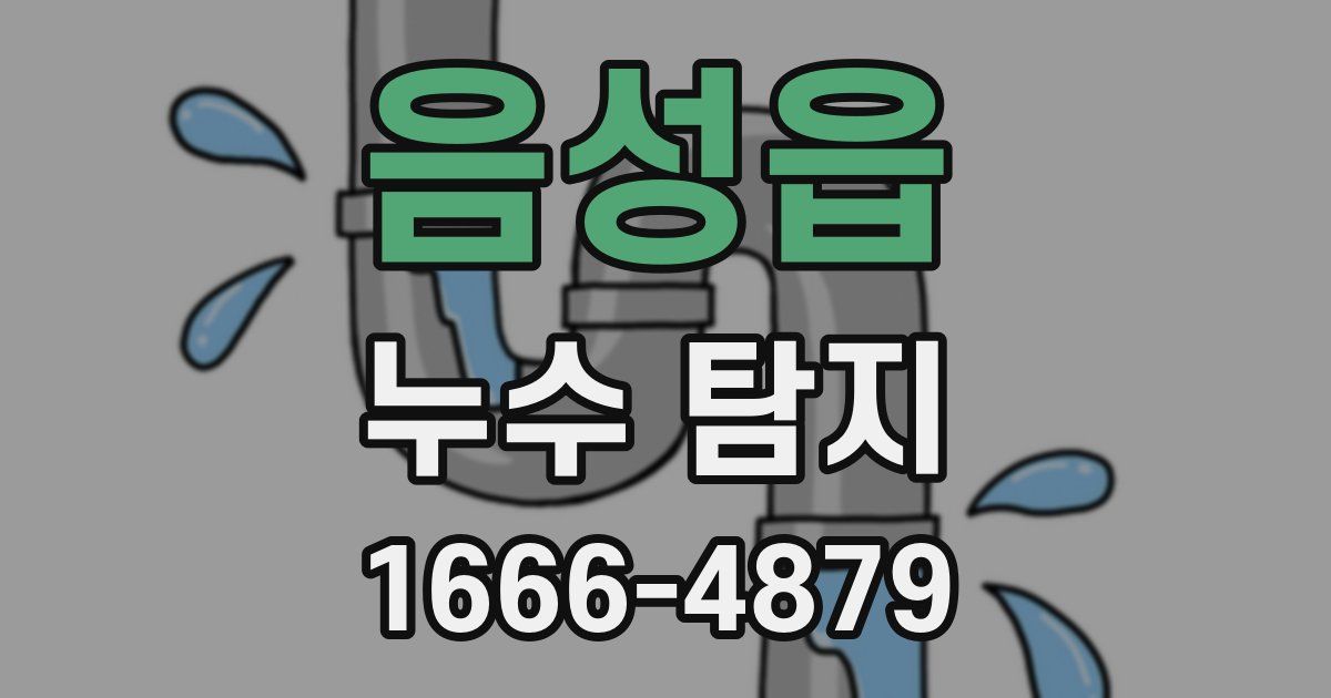 음성읍 누수 탐지