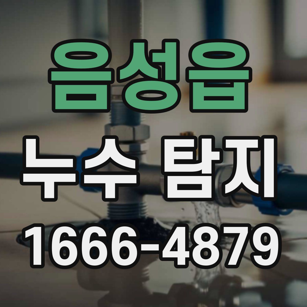 음성읍 누수 탐지