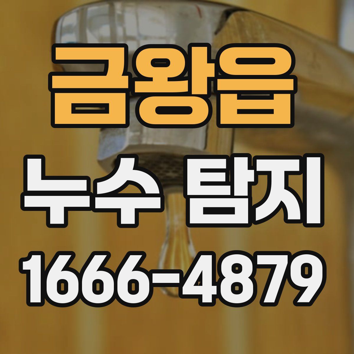 금왕읍 누수 탐지