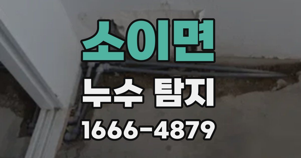 소이면 누수 탐지