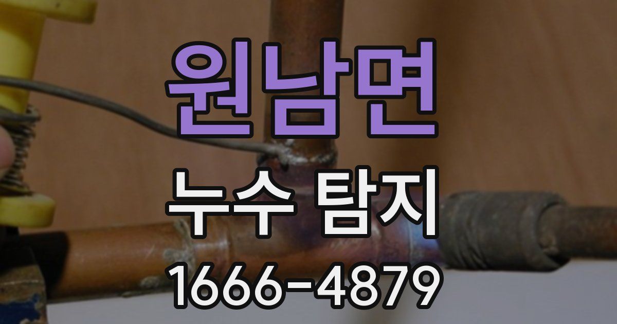 원남면 누수 탐지