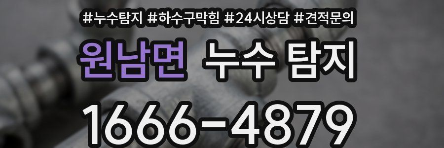 원남면 누수 탐지