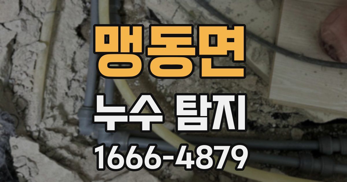 맹동면 누수 탐지