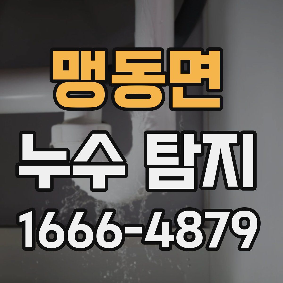 맹동면 누수 탐지