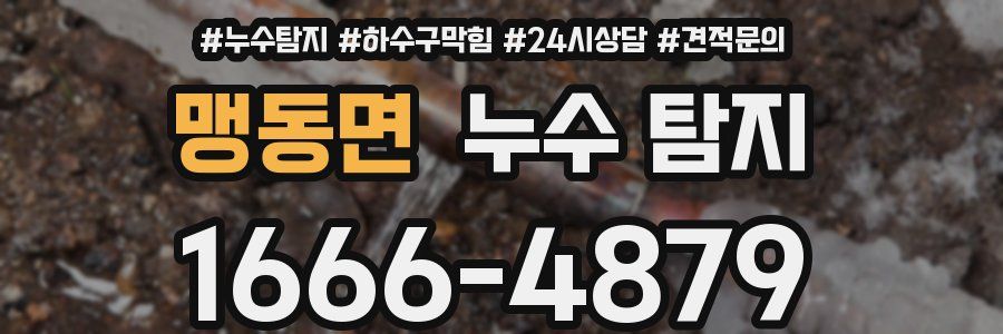 맹동면 누수 탐지