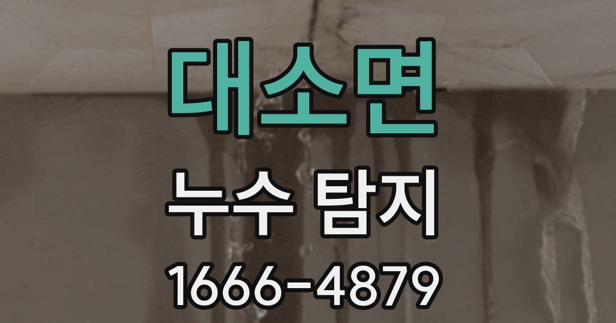 대소면 누수 탐지