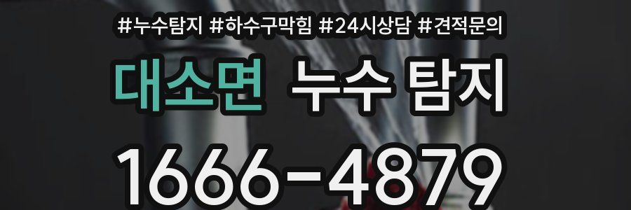 대소면 누수 탐지