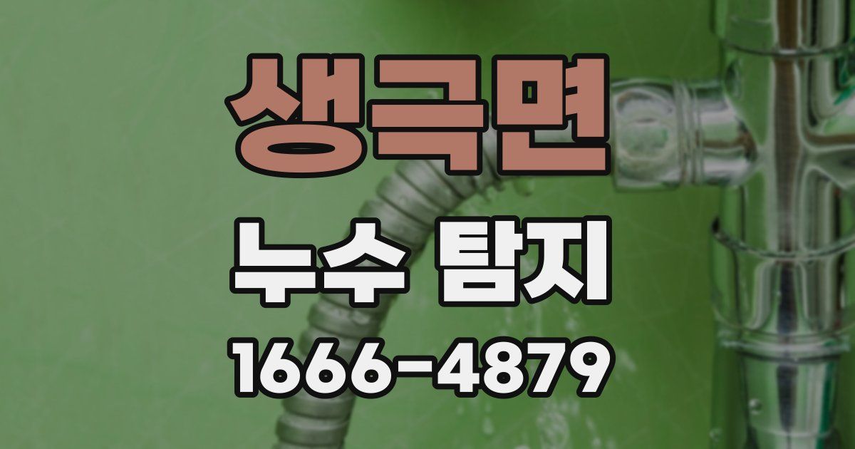 생극면 누수 탐지