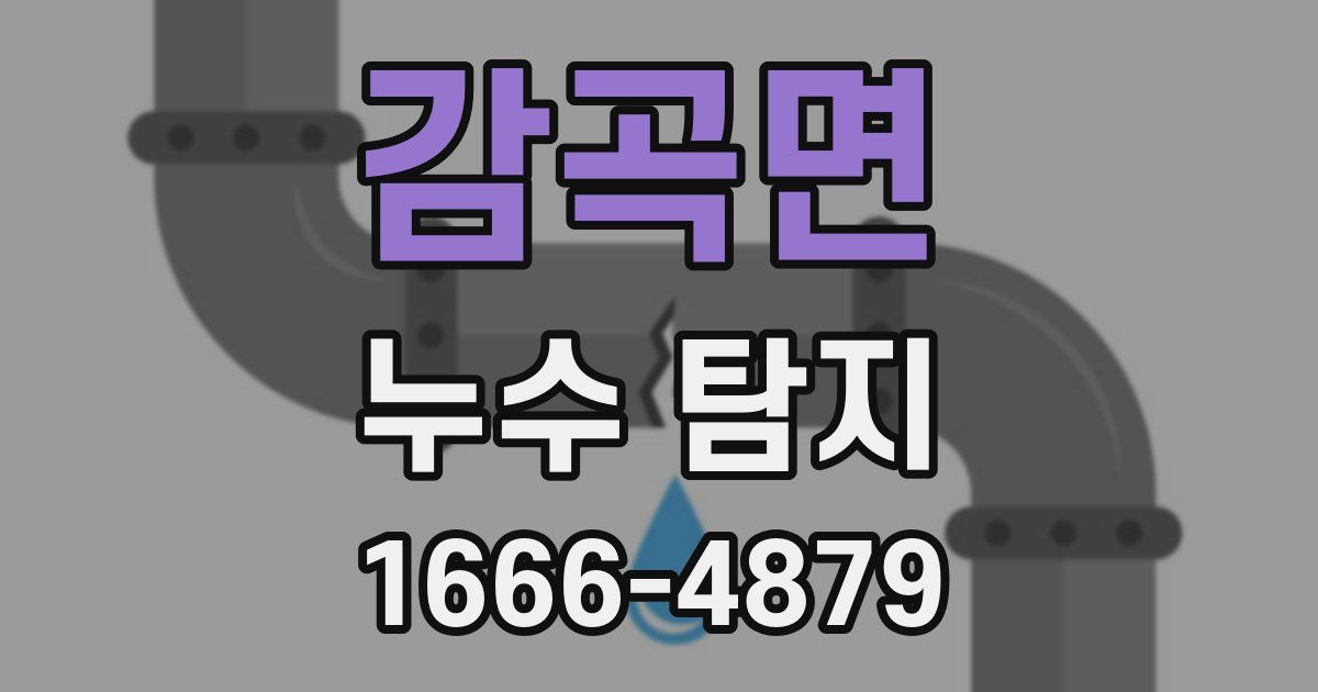 감곡면 누수 탐지