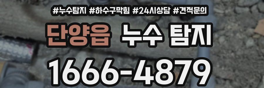 단양읍 누수 탐지