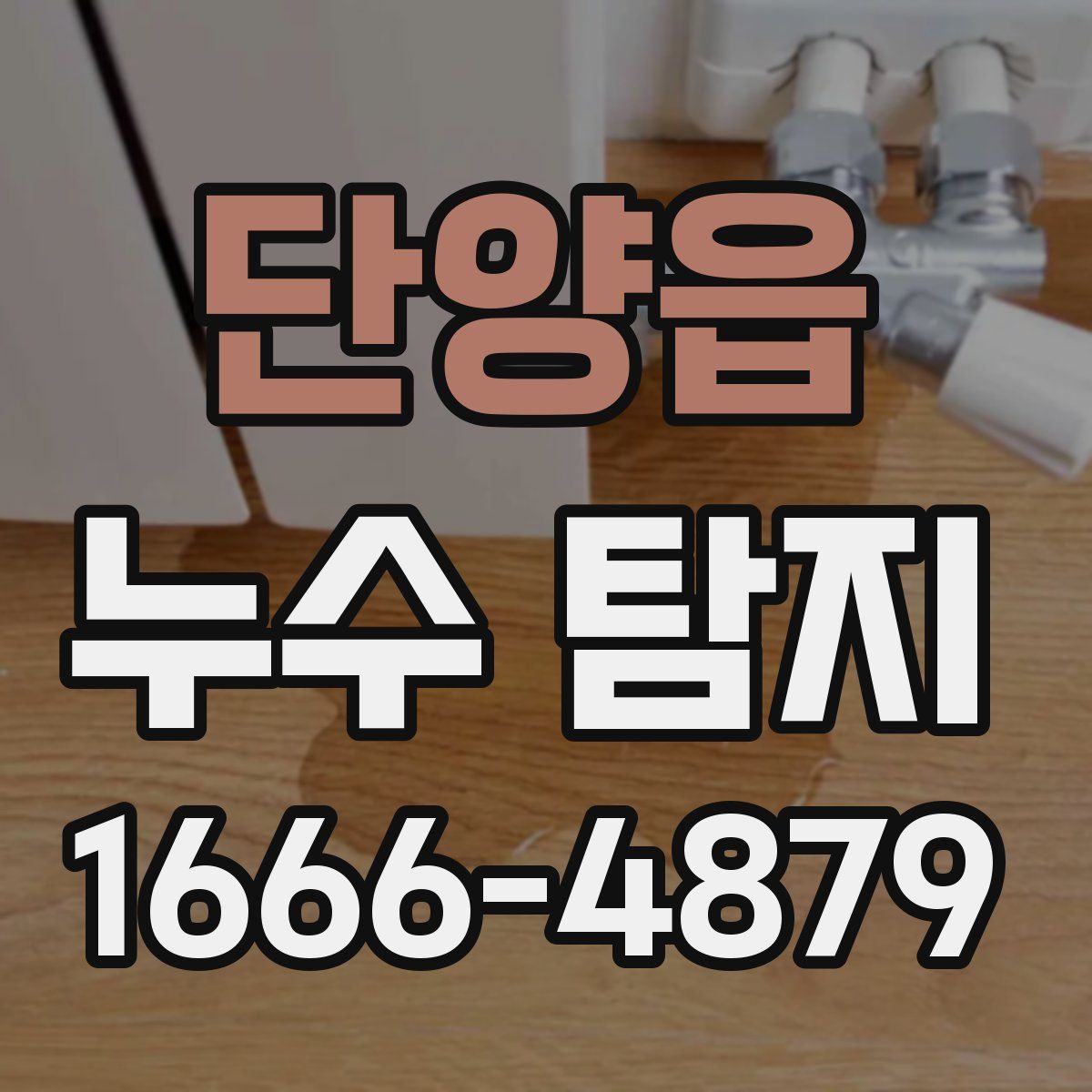 단양읍 누수 탐지